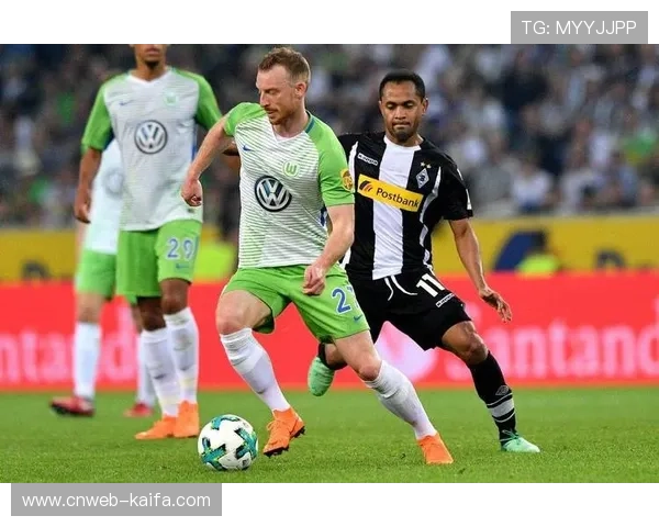 沃尔夫斯堡主场12场不胜，霍芬海姆客场强势来袭